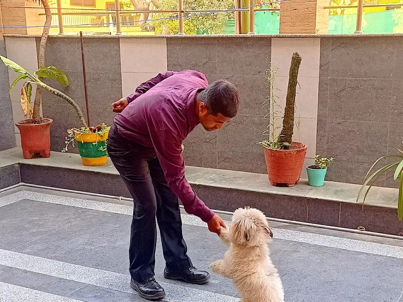 Pet Heart Fit, photo 3