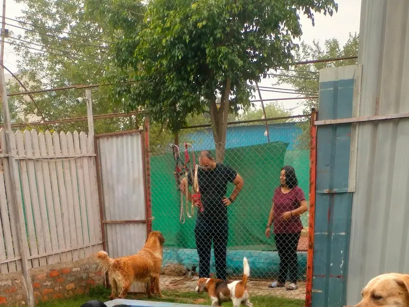 Barks and Meows - Pet Boarding Service | Pet Care, photo 5