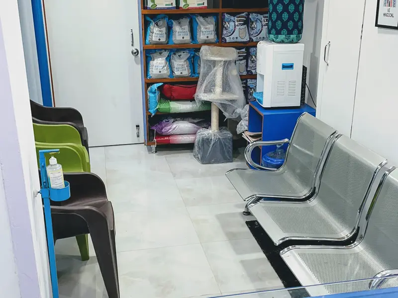 SJS Pet Care and Clinic, photo 5