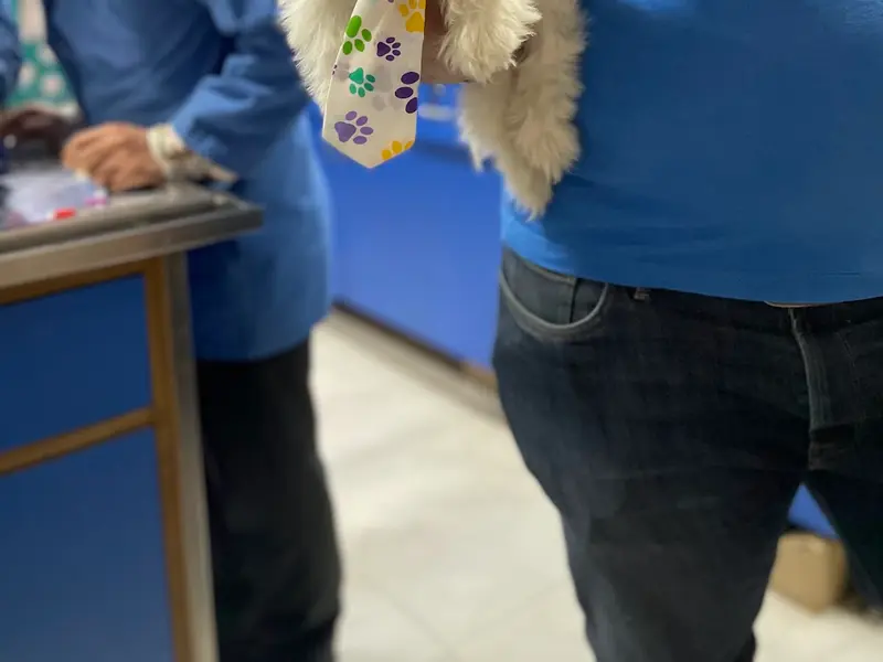 SJS Pet Care and Clinic