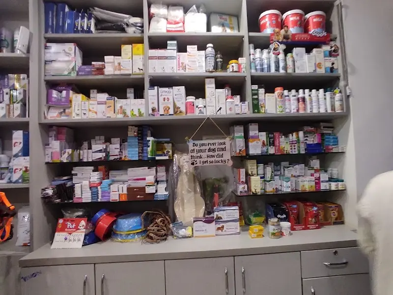 4 Paws Pet Clinic, photo 3