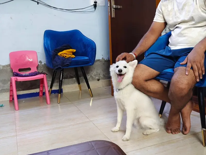 Cherry's Pet Boarding & Day Care, photo 3