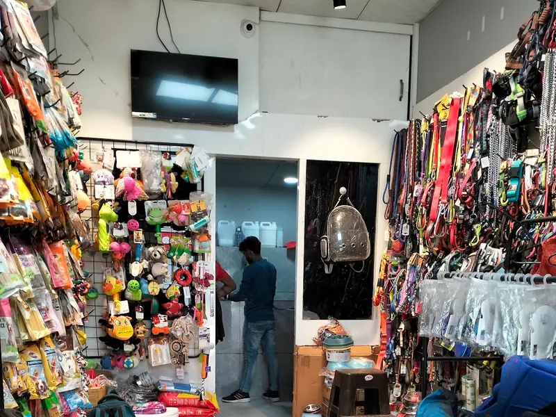 Chien N Chat Pet Shop & Spa, photo 2