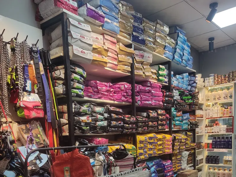 Chien N Chat Pet Shop & Spa, photo 3
