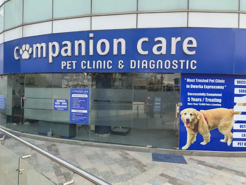 Companion Care Pet Clinic and Diagnostic, photo 3