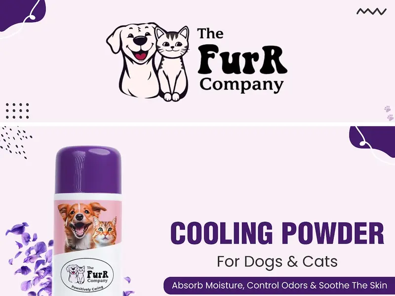 The Furr Company, photo 3