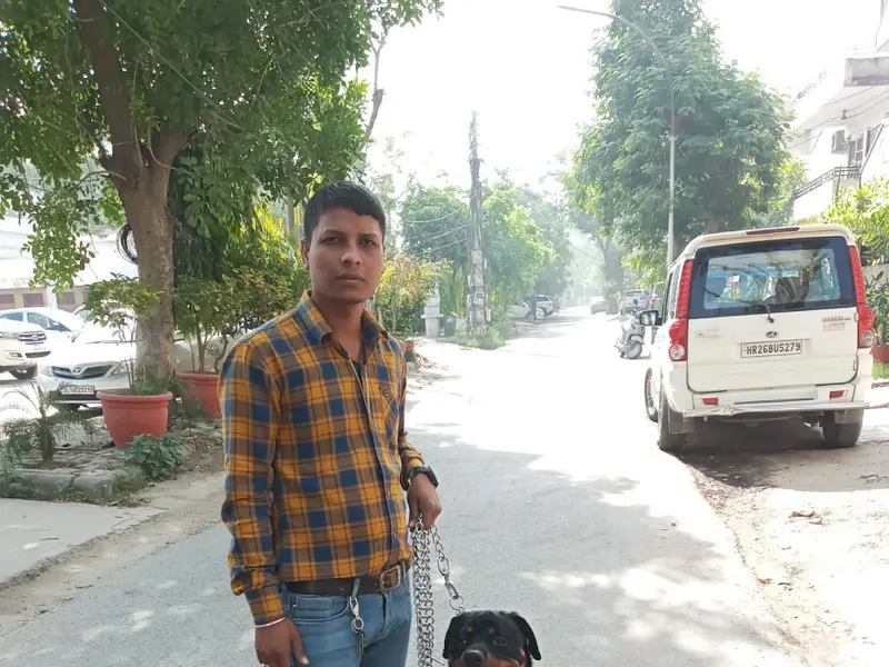 Dog training services, photo 2