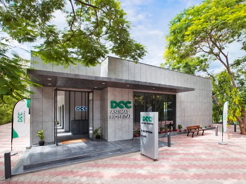DCC Animal Hospital Grooming & Boarding, photo 3