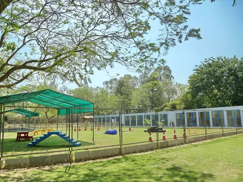 DCC Animal Hospital Grooming & Boarding, photo 4