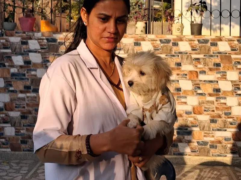 Dr.Pooja Pet clinic, photo 4