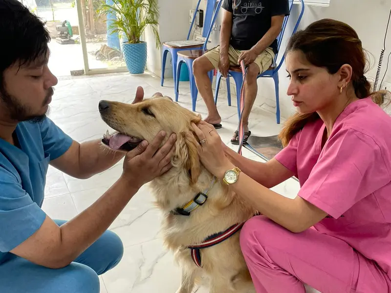Vet Planet, photo 2