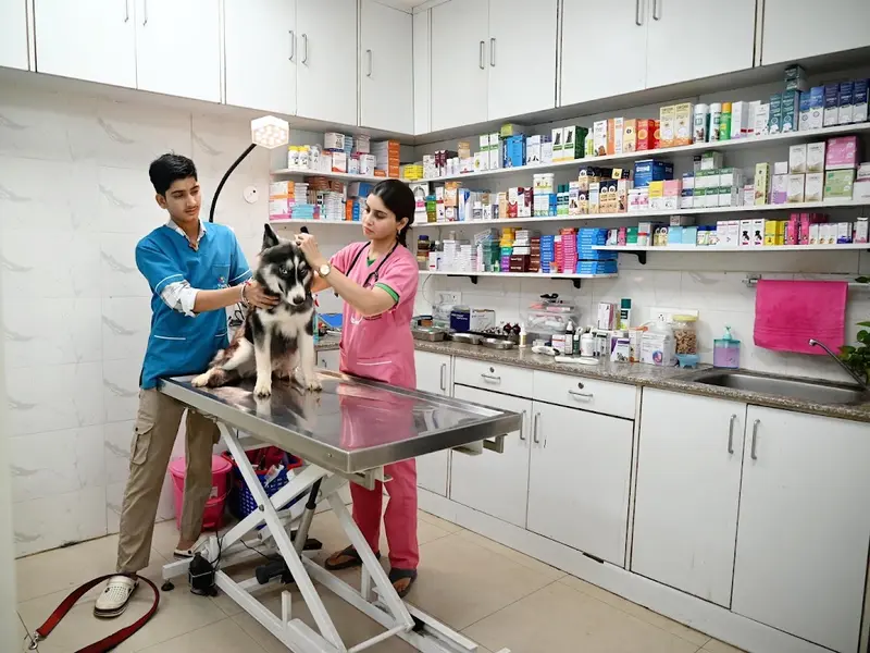 Vet Planet, photo 4