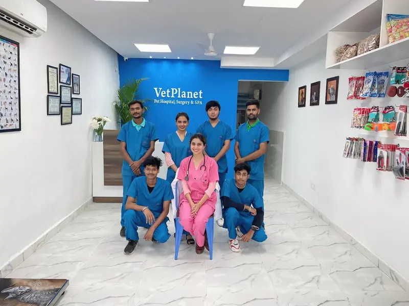 Vet Planet, photo 5