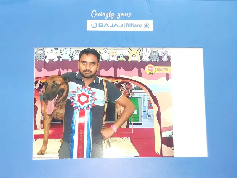 Dog Trainer Ashish kumar In Gurgaon, photo 2
