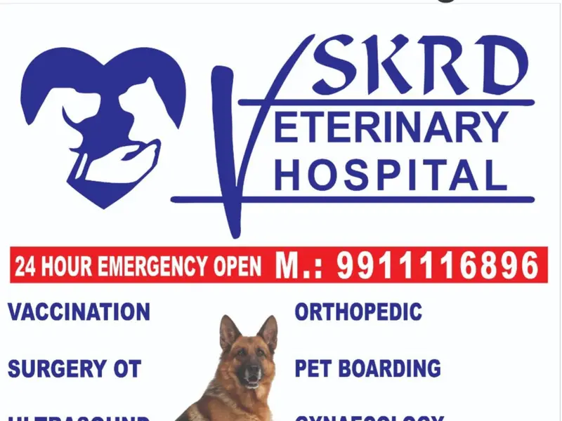 SKRD PET SHOP, photo 2