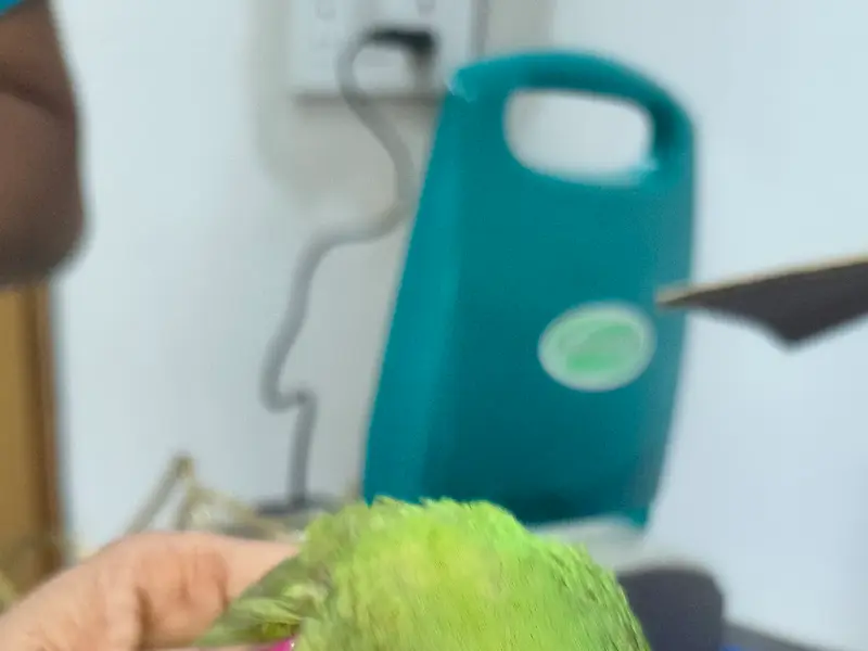 SKRD Veterinary Hospital, photo 4