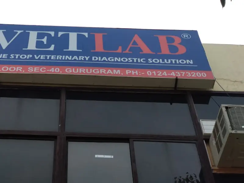 VETLAB GURGAON, photo 2