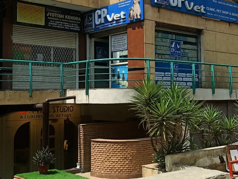 CP Vet Sushant Lok, photo 3