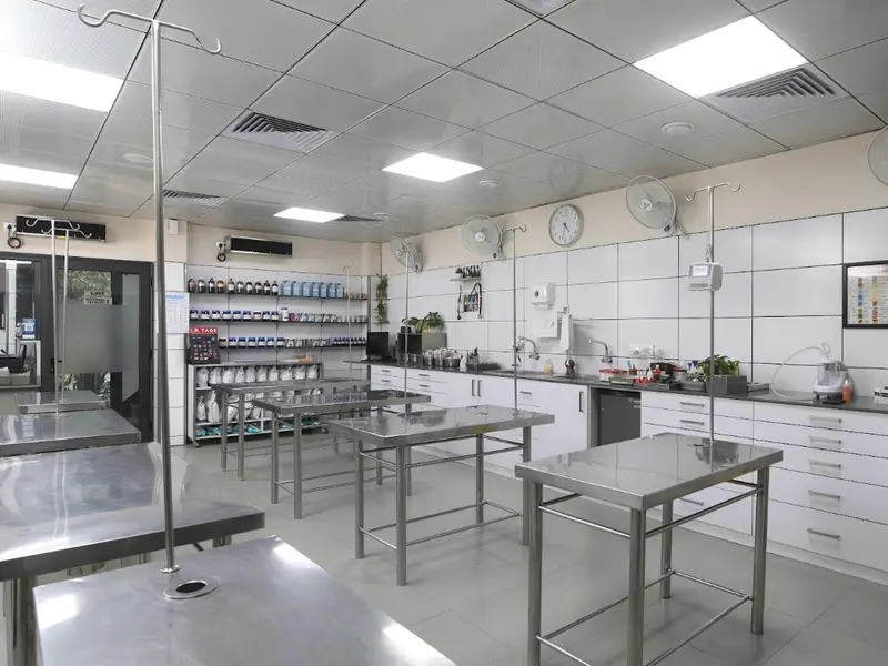Dr. Synghal Pet Care & Surgery LLP, photo 3