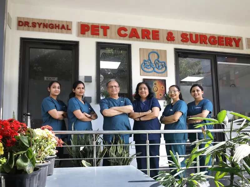 Dr. Synghal Pet Care & Surgery LLP