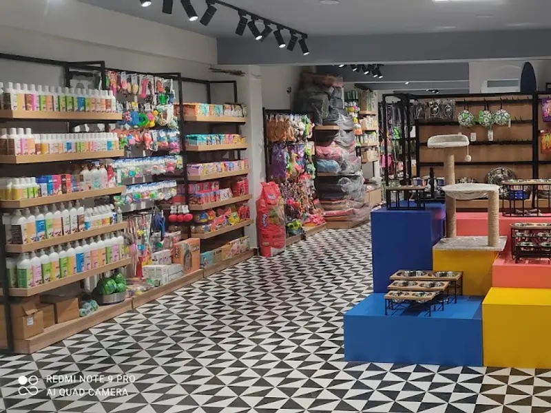 Pets Empire | Best Pet Food Shop & Pet Grooming Salon in Gurugram | Pet Store, Dog, Birds, & Cat Accessories Shop in Gurugram, photo 2