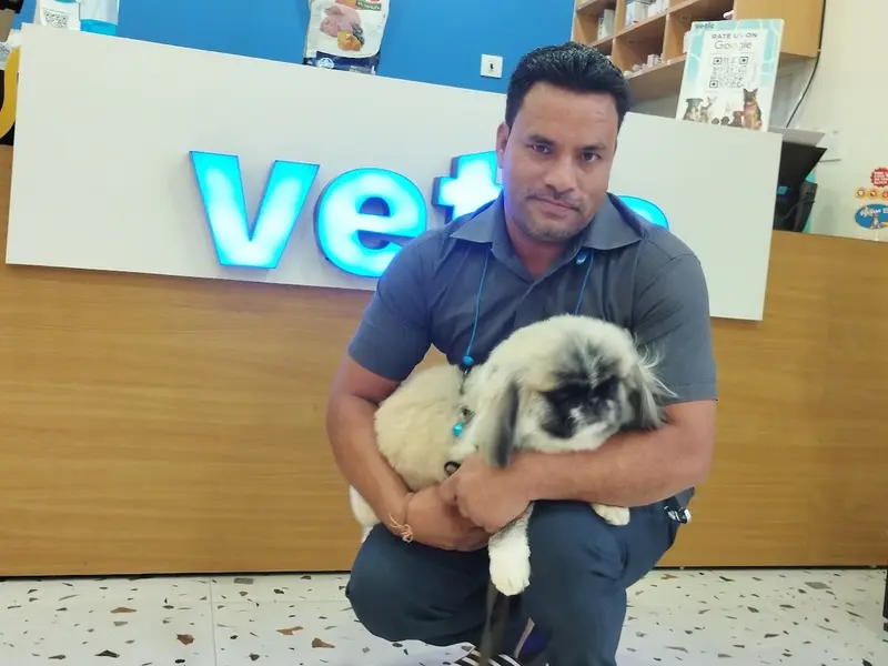 Vetic Pet Clinic Sec-45 Gurgaon, photo 3