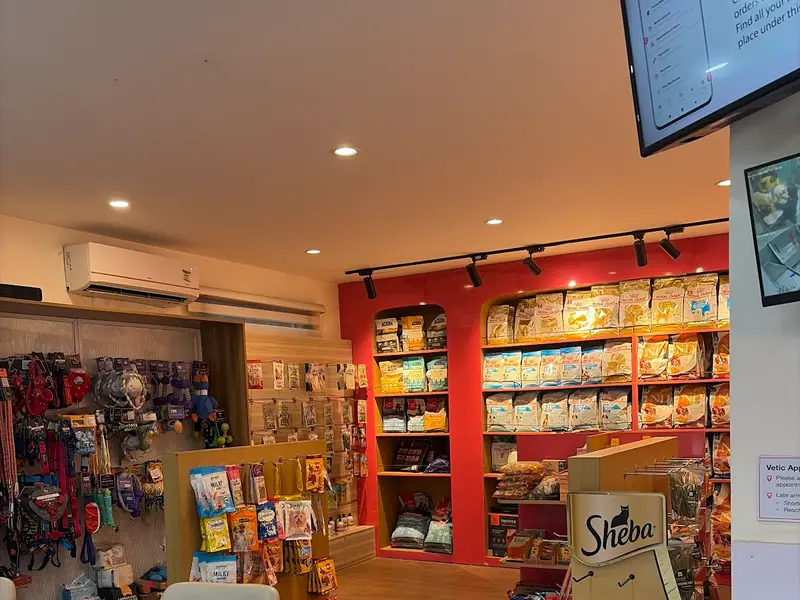 Vetic Pet Clinic Sec-45 Gurgaon, photo 4