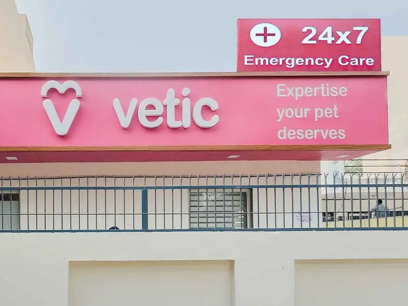 Vetic Pet Clinic Sec-45 Gurgaon