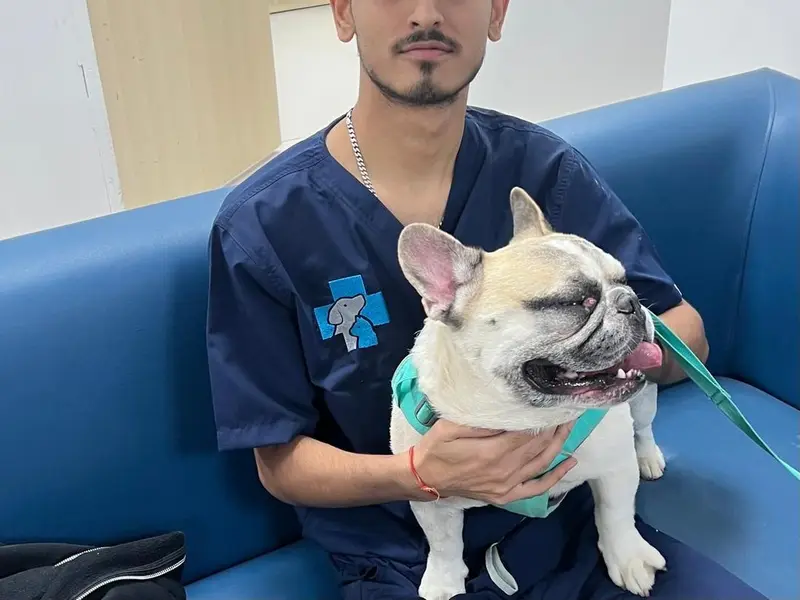 Animed Veterinary Clinic, photo 5