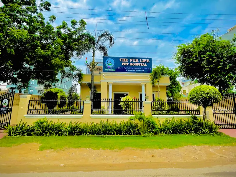 The Fur Life Pet Care, photo 2