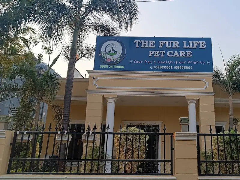 The Fur Life Pet Care, photo 3