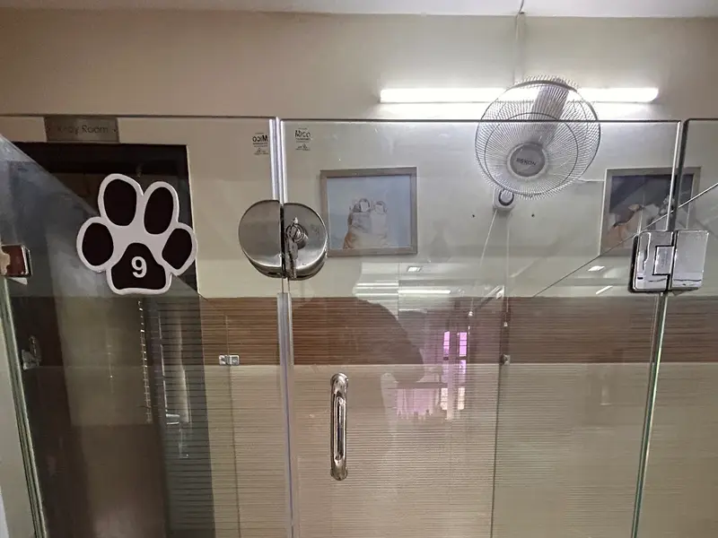 The Fur Life Pet Care, photo 4