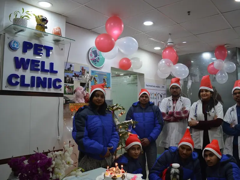 Dr Sristi Pet Well Clinic & Hospital, photo 3