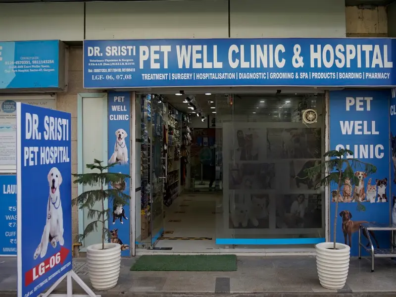 Dr Sristi Pet Well Clinic & Hospital
