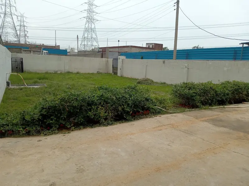 Saturn Foundation, photo 4