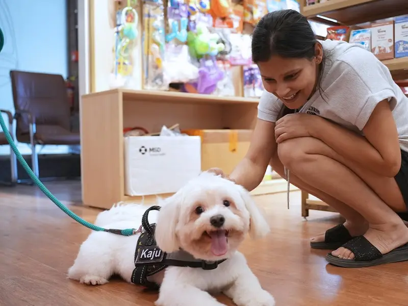 Vetic Pet Clinic Sohna Road Gurgaon, photo 3