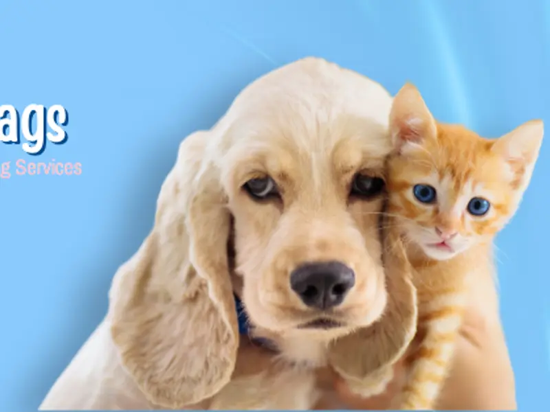 The Pet store & Care Centre Clinic