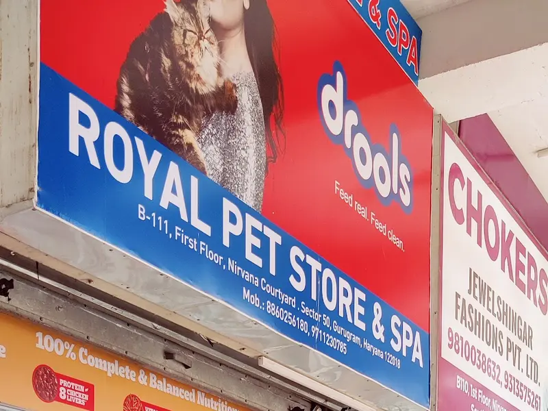 ROYAL PET STORE & SPA l Pet Shop in Gurgaon, photo 4