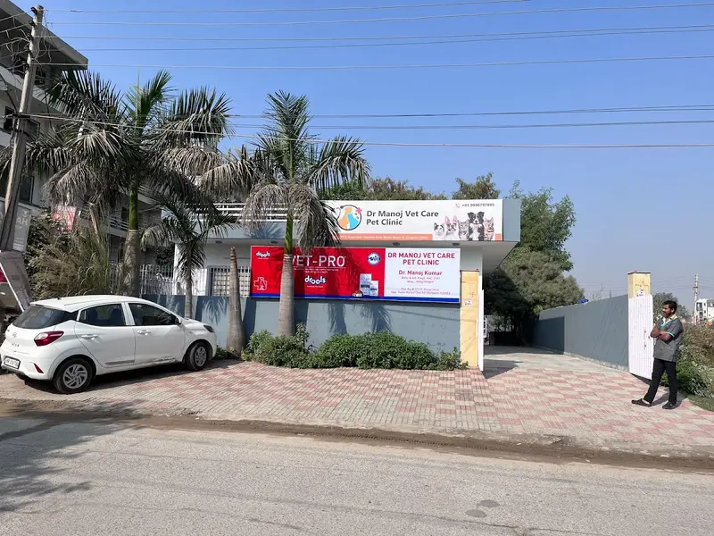 Dr Manoj Vet Care Pet Clinic, photo 2