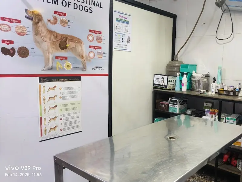 Pet Works : Pet Clinic | Pet vaccination | Pet Food | Sector 57 Gurgaon, photo 3