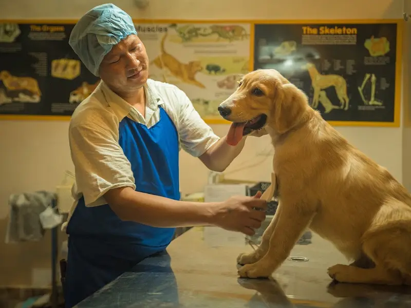 Pet Works : Pet Clinic | Pet vaccination | Pet Food | Sector 57 Gurgaon, photo 5