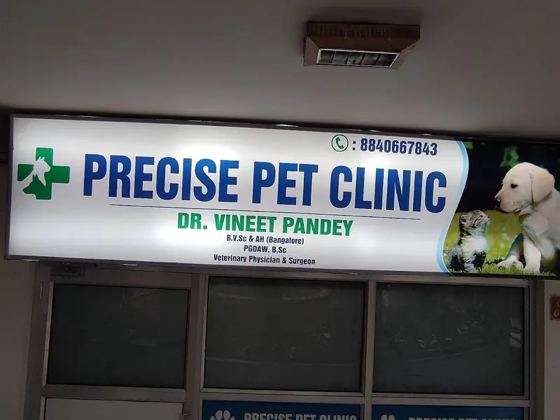 PRECISE PET CLINIC, photo 3