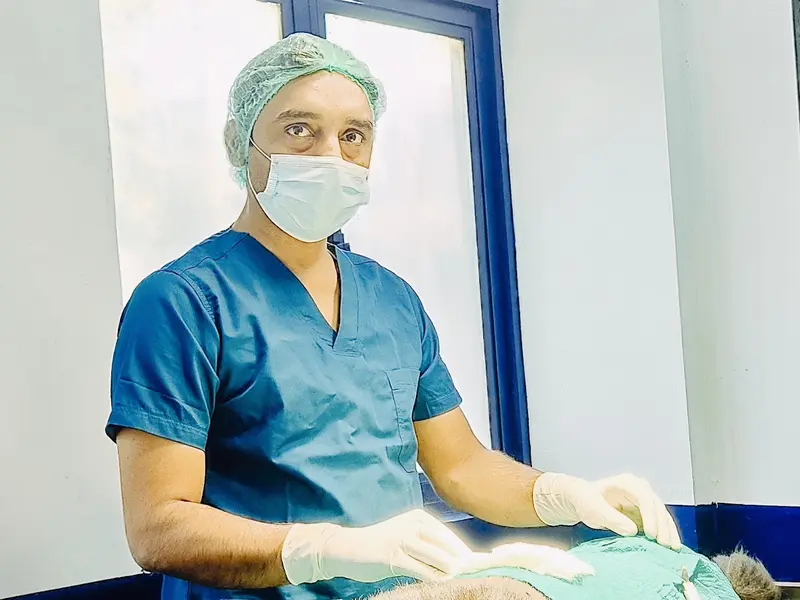 PRECISE PET CLINIC, photo 4