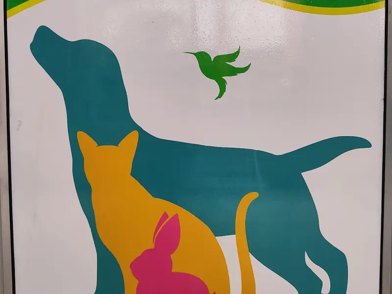 PRECISE PET CLINIC, photo 5