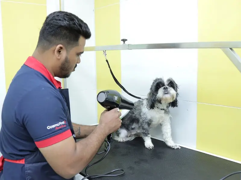 Zigly Pet Care - Vet Clinic, Pet Grooming & Pet Products | M3M Atrium, Gurugram, photo 3
