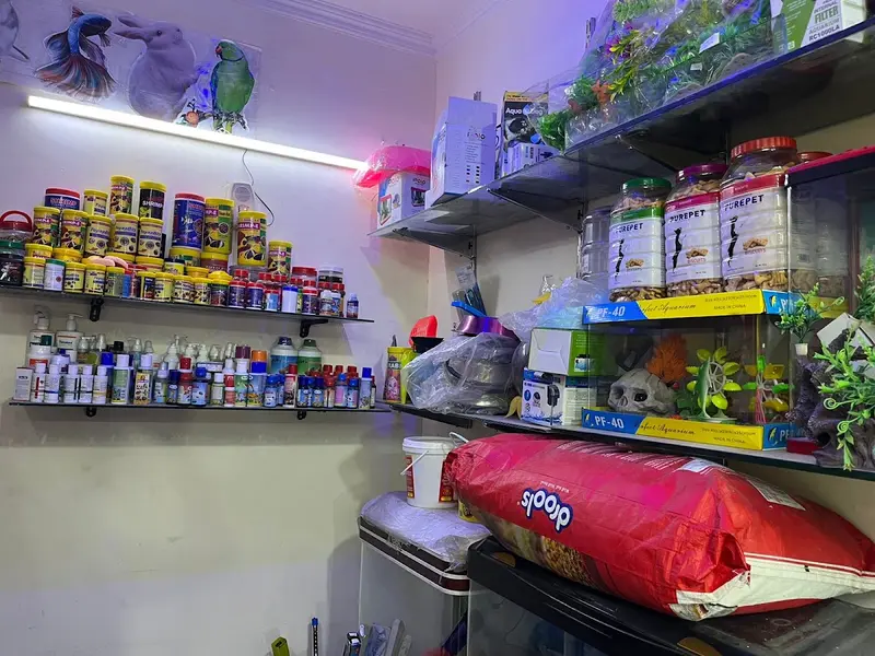 The fish hobby unique pet shop, photo 3