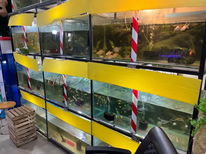 The fish hobby unique pet shop, photo 4