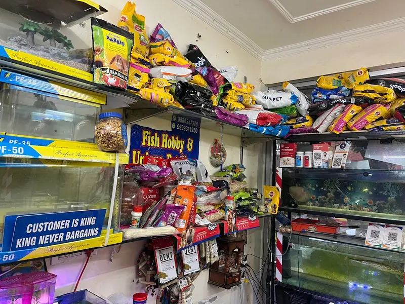 The fish hobby unique pet shop, photo 5