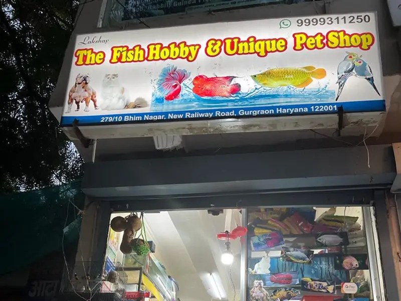 The fish hobby unique pet shop