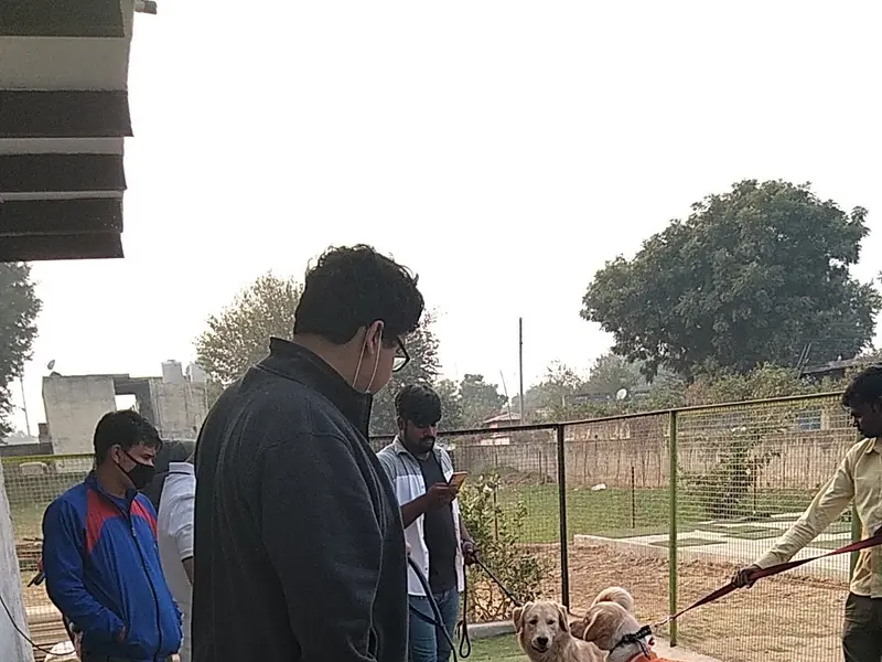 Academy of Canine, photo 4